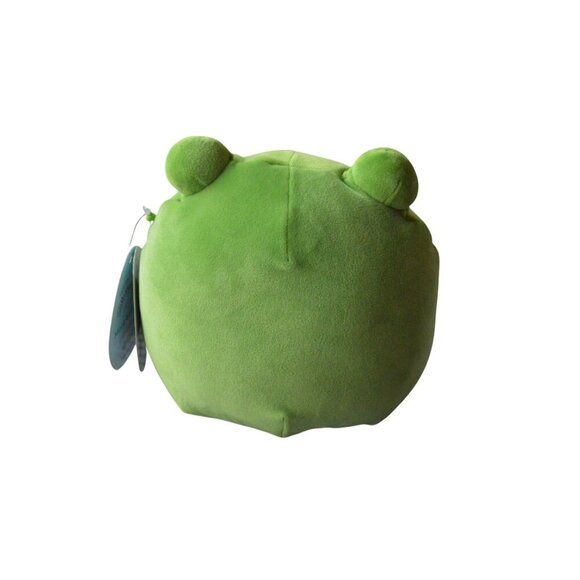 Squishmallows Doxl Frog Plush Toy 7" Green Rainbow Belly Soft Stuffed Animal - Picture 4 of 4